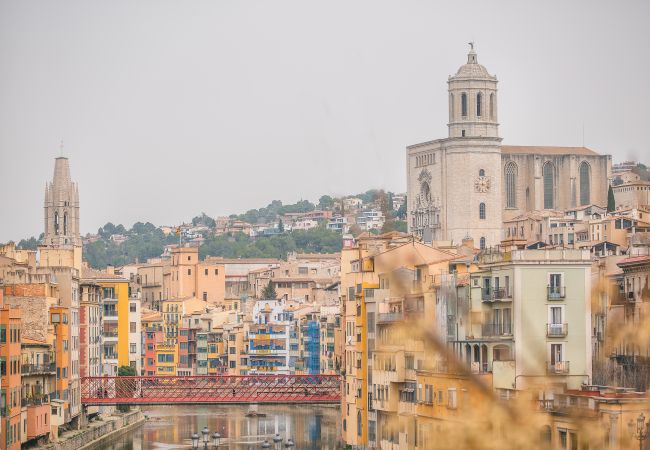 Apartamento en Gerona / Girona - Flateli. P.C 22 Apartamento en Gerona / Girona - Flateli. P.C 22