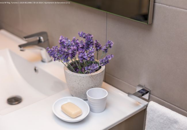 Apartamento en Barcelona - Flateli. 430 Estudio 201 Apartamento en Barcelona - Flateli. 430 Estudio 201