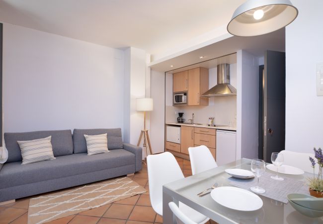 Apartamento en Gerona / Girona - Flateli 26A Ballesteries