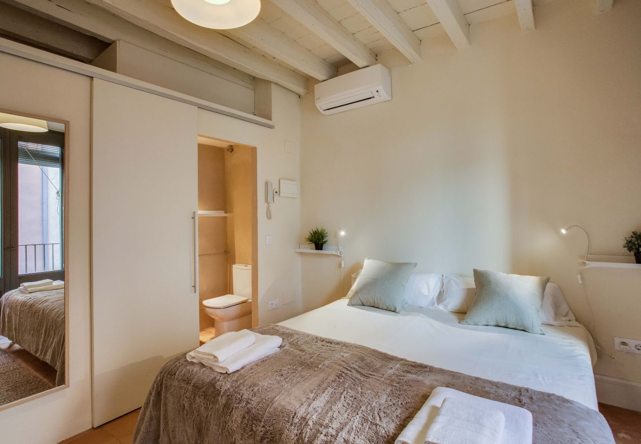 Apartament en Gerona/Girona - Flateli Ballesteries 42 Apartament en Gerona/Girona - Flateli Ballesteries 42