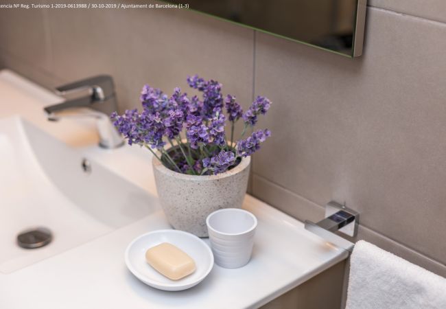 Apartament en Barcelona - Flateli. 430 Loft 103 Apartament en Barcelona - Flateli. 430 Loft 103