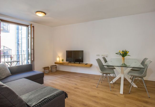 Gerona / Girona - Apartament