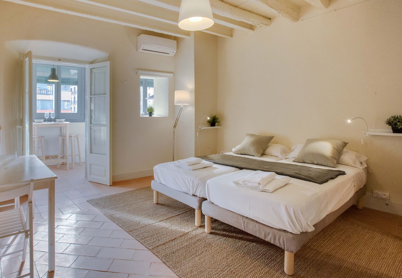 Apartment in Gerona/Girona - Flateli Ballesteries 41 Apartment in Gerona/Girona - Flateli Ballesteries 41