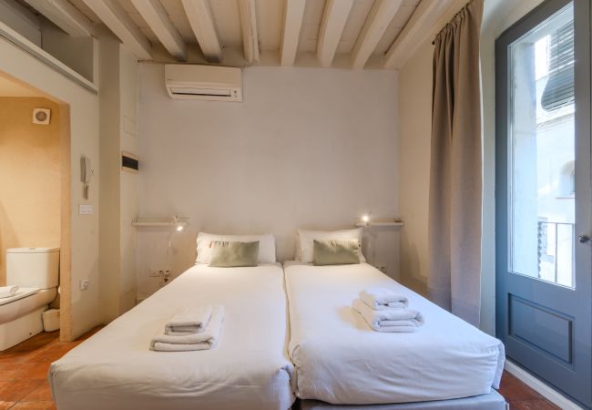 Apartment in Gerona / Girona - Flateli Ballesteries 32