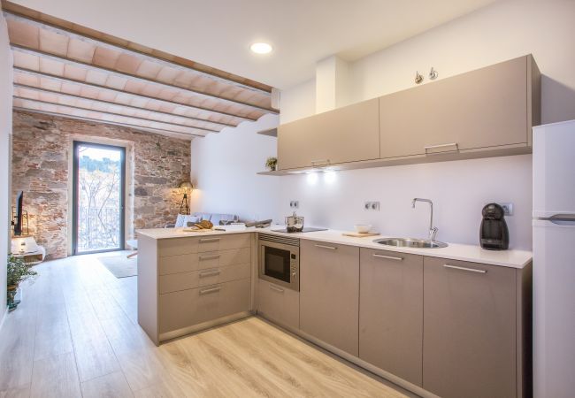 Apartment in Gerona/Girona - Flateli. P.C 31 Apartment in Gerona/Girona - Flateli. P.C 31