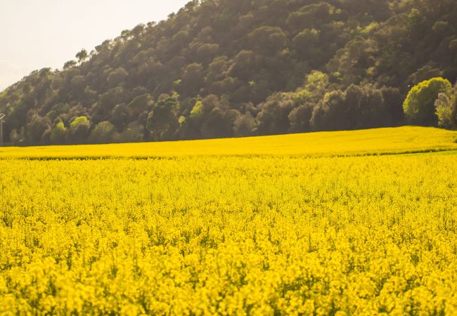 Villa in Sant Gregori - Flateli Rural Cal Bort - Mas Jorda Villa in Sant Gregori - Flateli Rural Cal Bort - Mas Jorda