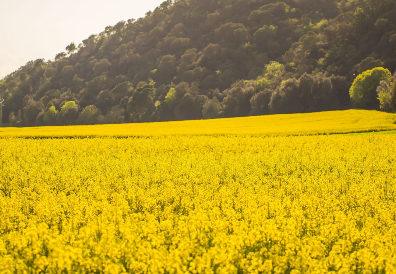 Villa in Sant Gregori - Flateli Rural Cal Bort - Mas Jorda Villa in Sant Gregori - Flateli Rural Cal Bort - Mas Jorda