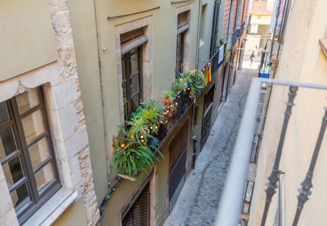 Apartment in Gerona/Girona - Flateli. Cort Reial 10 2 Apartment in Gerona/Girona - Flateli. Cort Reial 10 2
