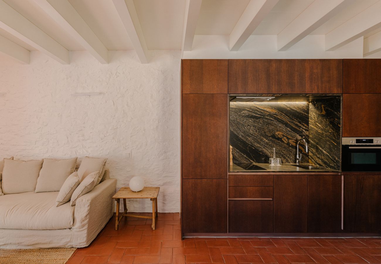 Apartment in Gerona/Girona - Flateli. Santa Clara 2.1