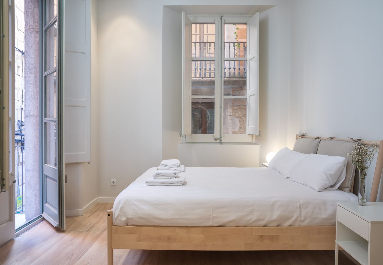 Apartment in Gerona/Girona - Flateli Auriga Apartment in Gerona/Girona - Flateli Auriga