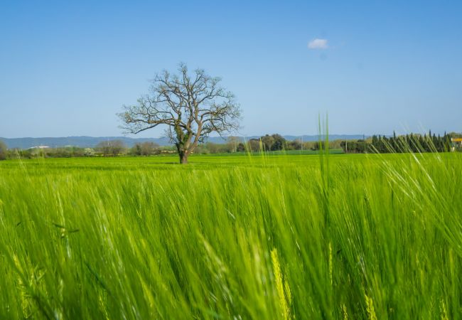 Villa à Sant Gregori - Flateli Rural Cal Bort - Mas Jorda Villa à Sant Gregori - Flateli Rural Cal Bort - Mas Jorda