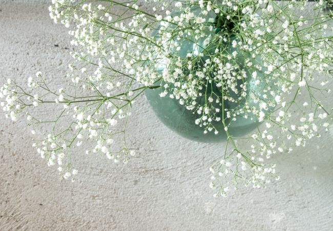 Villa a Vilopriu - Flateli. Vilopriu Villa a Vilopriu - Flateli. Vilopriu